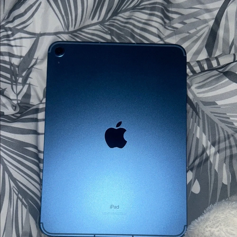 ipad 10th gen or no